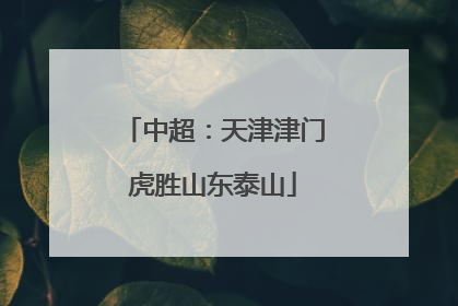 中超：天津津门虎胜山东泰山