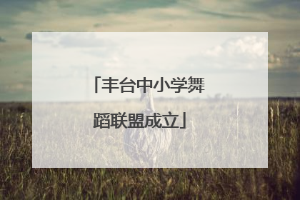 丰台中小学舞蹈联盟成立