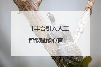 丰台引入人工智能赋能心育