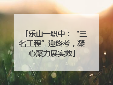 乐山一职中：“三名工程”迎终考，凝心聚力展实效