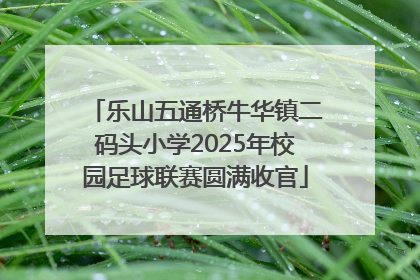 乐山五通桥牛华镇二码头小学2025年校园足球联赛圆满收官