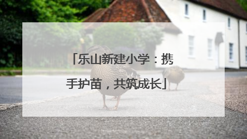 乐山新建小学：携手护苗，共筑成长