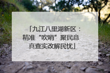 九江八里湖新区：精准“吹哨”聚民意 真查实改解民忧