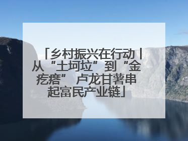 乡村振兴在行动丨从“土坷垃”到“金疙瘩” 卢龙甘薯串起富民产业链