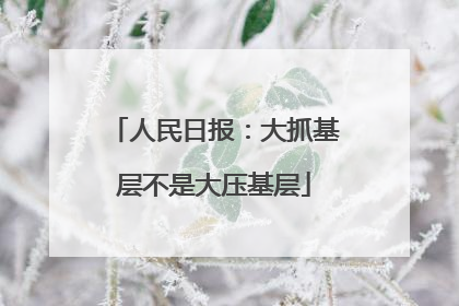 人民日报：大抓基层不是大压基层