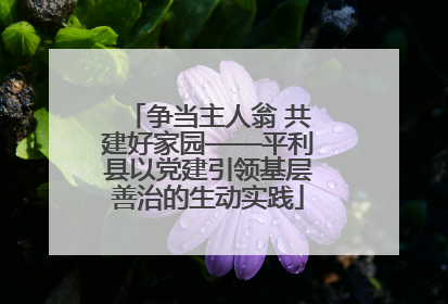 争当主人翁 共建好家园——平利县以党建引领基层善治的生动实践