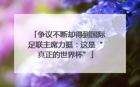 争议不断却得到国际足联主席力挺：这是“真正的世界杯”