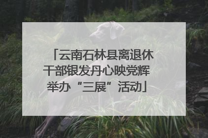 云南石林县离退休干部银发丹心映党辉举办“三展”活动