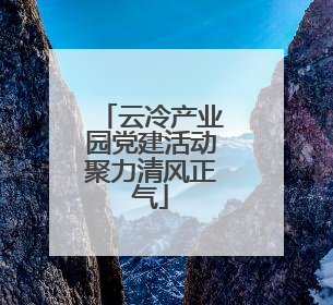 云冷产业园党建活动聚力清风正气