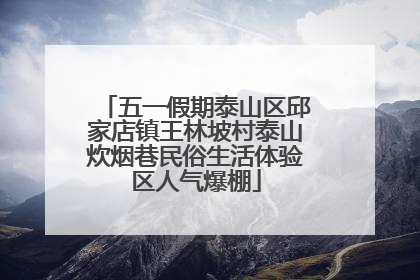 五一假期泰山区邱家店镇王林坡村泰山炊烟巷民俗生活体验区人气爆棚