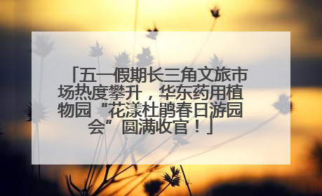 五一假期长三角文旅市场热度攀升，华东药用植物园“花漾杜鹃春日游园会”圆满收官！