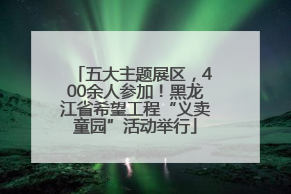 五大主题展区，400余人参加！黑龙江省希望工程“义卖童园”活动举行