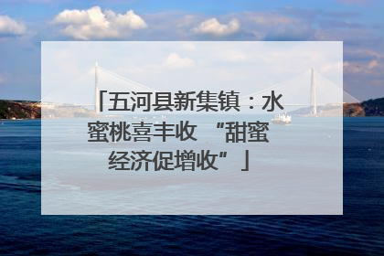 五河县新集镇：水蜜桃喜丰收 “甜蜜经济促增收”