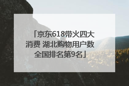 京东618带火四大消费 湖北购物用户数全国排名第9名