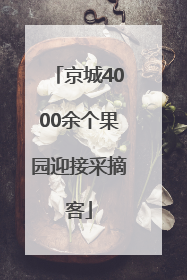 京城4000余个果园迎接采摘客