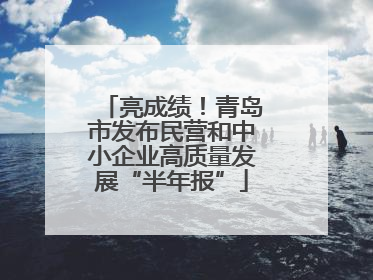 亮成绩！青岛市发布民营和中小企业高质量发展“半年报”