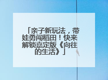 亲子新玩法，带娃勇闯稻田！快来解锁嘉定版《向往的生活》