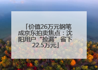价值26万元钢笔成京东拍卖焦点：沈阳用户“捡漏”省下22.5万元