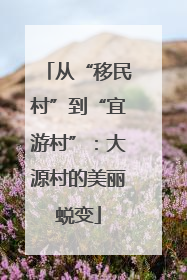 从“移民村”到“宜游村”：大源村的美丽蜕变