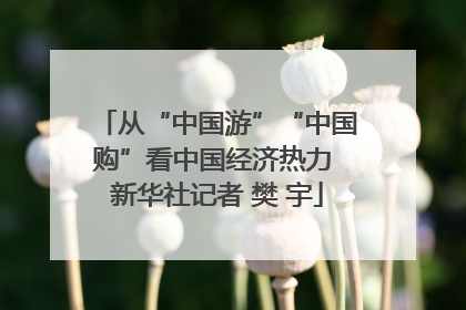 从“中国游”“中国购”看中国经济热力 新华社记者 樊 宇