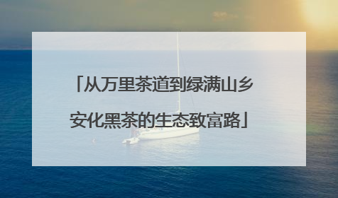 从万里茶道到绿满山乡 安化黑茶的生态致富路