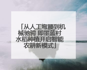 从人工弯腰到机械驰骋 即墨蓝村水稻种植开启智能农耕新模式