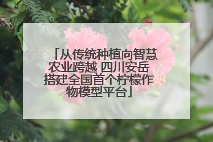 从传统种植向智慧农业跨越 四川安岳搭建全国首个柠檬作物模型平台