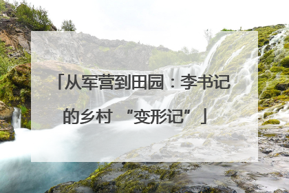 从军营到田园：李书记的乡村 “变形记”