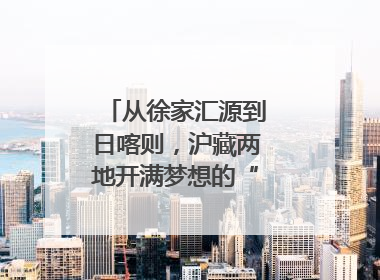 从徐家汇源到日喀则，沪藏两地开满梦想的“格桑花”！