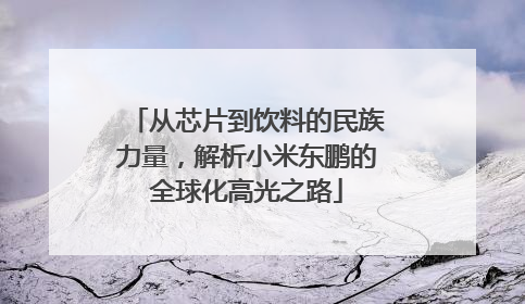 从芯片到饮料的民族力量，解析小米东鹏的全球化高光之路