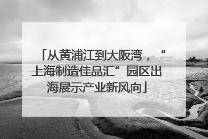 从黄浦江到大阪湾，“上海制造佳品汇”园区出海展示产业新风向