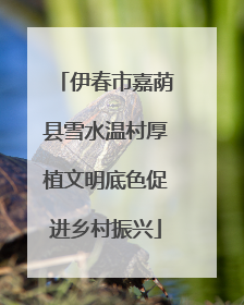 伊春市嘉荫县雪水温村厚植文明底色促进乡村振兴
