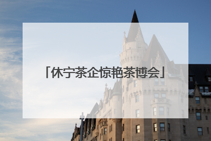 休宁茶企惊艳茶博会