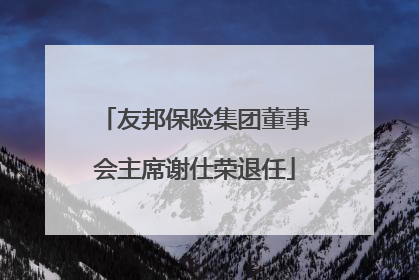 友邦保险集团董事会主席谢仕荣退任
