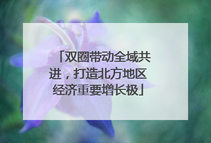 双圈带动全域共进，打造北方地区经济重要增长极