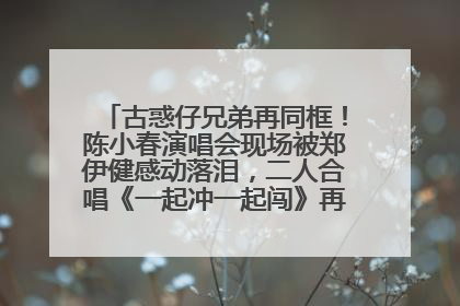 古惑仔兄弟再同框！陈小春演唱会现场被郑伊健感动落泪，二人合唱《一起冲一起闯》再现青春回忆