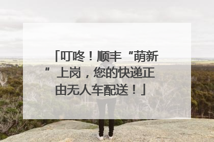 叮咚！顺丰“萌新”上岗，您的快递正由无人车配送！