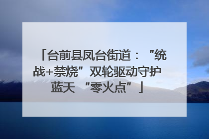 台前县凤台街道：“统战+禁烧”双轮驱动守护蓝天 “零火点”