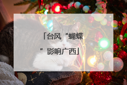 台风“蝴蝶”影响广西