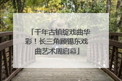 千年古镇绽戏曲华彩！长三角顾锡东戏曲艺术周启幕