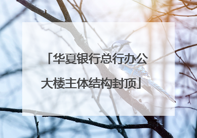 华夏银行总行办公大楼主体结构封顶