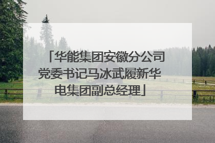 华能集团安徽分公司党委书记马冰武履新华电集团副总经理
