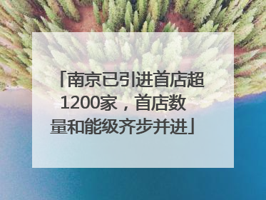 南京已引进首店超1200家，首店数量和能级齐步并进