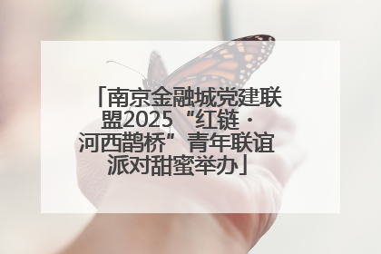 南京金融城党建联盟2025“红链・河西鹊桥”青年联谊派对甜蜜举办