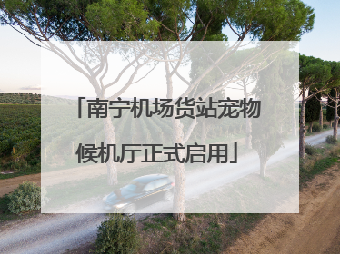 南宁机场货站宠物候机厅正式启用