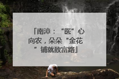 南漳：“医”心向农，朵朵“金花”铺就致富路