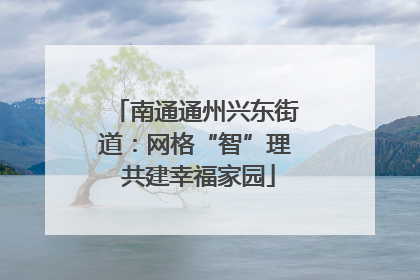 南通通州兴东街道：网格“智”理 共建幸福家园