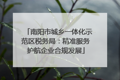 南阳市城乡一体化示范区税务局：精准服务护航企业合规发展