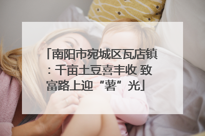 南阳市宛城区瓦店镇：千亩土豆喜丰收 致富路上迎“薯”光