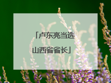 卢东亮当选山西省省长
